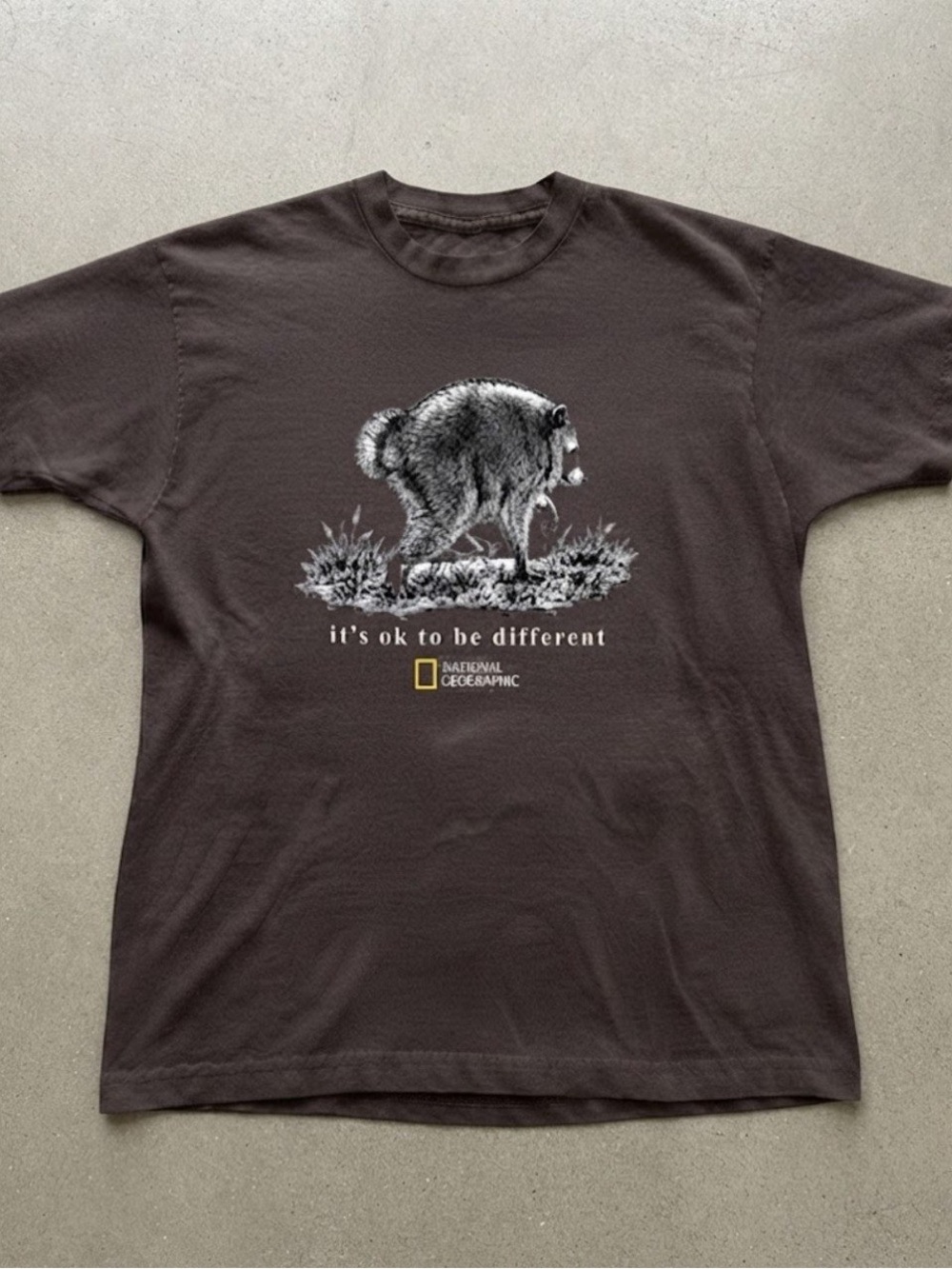 National Geographic Brown Graphic Tee with Raccoon Gildan T-shirt